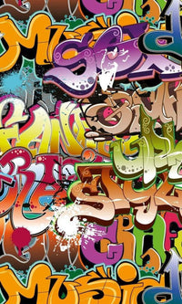 Dimex Graffiti Art Wall Mural 150x250cm 2 Panels | Yourdecoration.co.uk