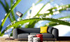 Dimex Grass Wall Mural 375x250cm 5 Panels Ambiance | Yourdecoration.co.uk