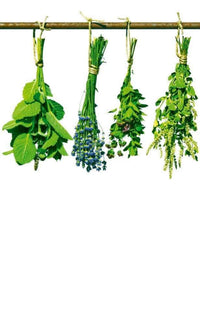 Dimex Herbs Wall Mural 150x250cm 2 Panels | Yourdecoration.co.uk