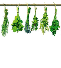 Dimex Herbs Wall Mural 225x250cm 3 Panels | Yourdecoration.co.uk