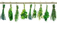 Dimex Herbs Wall Mural 375x250cm 5 Panels | Yourdecoration.co.uk
