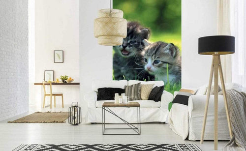 Dimex Kittens Wall Mural 150x250cm 2 Panels Ambiance | Yourdecoration.co.uk