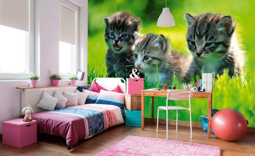 Dimex Kittens Wall Mural 375x250cm 5 Panels Ambiance | Yourdecoration.co.uk