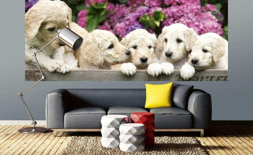 Dimex Labrador Puppies Wall Mural 375x150cm 5 Panels Ambiance | Yourdecoration.co.uk