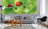 Dimex Ladybird Wall Mural 375x150cm 5 Panels Ambiance | Yourdecoration.co.uk