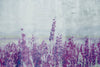 Dimex Lavender Abstract Wall Mural 375x250cm 5 Panels | Yourdecoration.co.uk