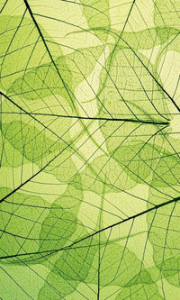 Dimex Leaf Veins Wall Mural 150x250cm 2 Panels | Yourdecoration.co.uk