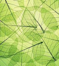 Dimex Leaf Veins Wall Mural 225x250cm 3 Panels | Yourdecoration.co.uk