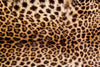 Dimex Leopard Skin Wall Mural 375x250cm 5 Panels | Yourdecoration.co.uk