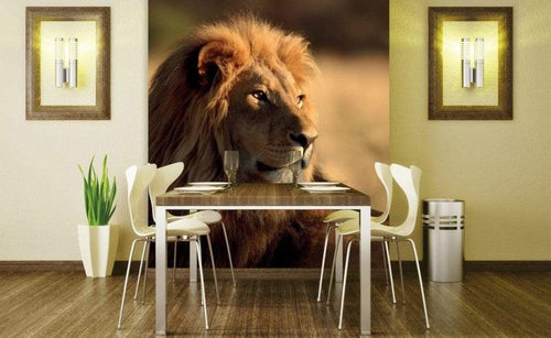 Dimex Lion Wall Mural 225x250cm 3 Panels Ambiance | Yourdecoration.co.uk