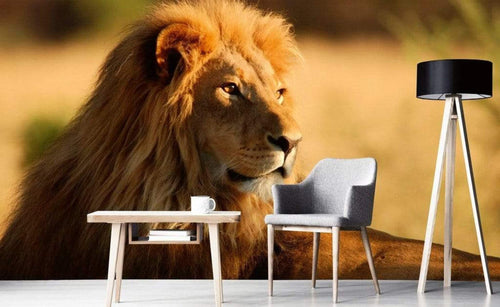 Dimex Lion Wall Mural 375x250cm 5 Panels Ambiance | Yourdecoration.co.uk