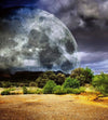 Dimex Moon Wall Mural 225x250cm 3 Panels | Yourdecoration.co.uk