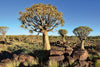 Dimex Namibia Wall Mural 375x250cm 5 Panels | Yourdecoration.co.uk