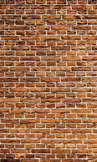 Dimex Old Brick Wall Mural 150x250cm 2 Panels | Yourdecoration.co.uk