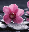 Dimex Orchid Wall Mural 225x250cm 3 Panels | Yourdecoration.co.uk