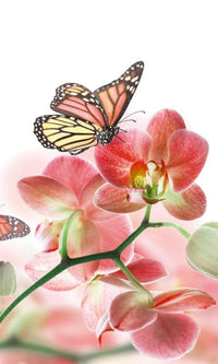 Dimex Orchids and Butterfly Wall Mural 150x250cm 2 Panels | Yourdecoration.co.uk
