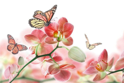 Dimex Orchids and Butterfly Wall Mural 375x250cm 5 Panels | Yourdecoration.co.uk