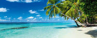 Dimex Paradise Beach Wall Mural 375x150cm 5 Panels | Yourdecoration.co.uk