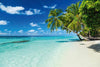 Dimex Paradise Beach Wall Mural 375x250cm 5 Panels | Yourdecoration.co.uk