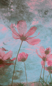 Dimex Pink Flower Abstract Wall Mural 150x250cm 2 Panels | Yourdecoration.co.uk