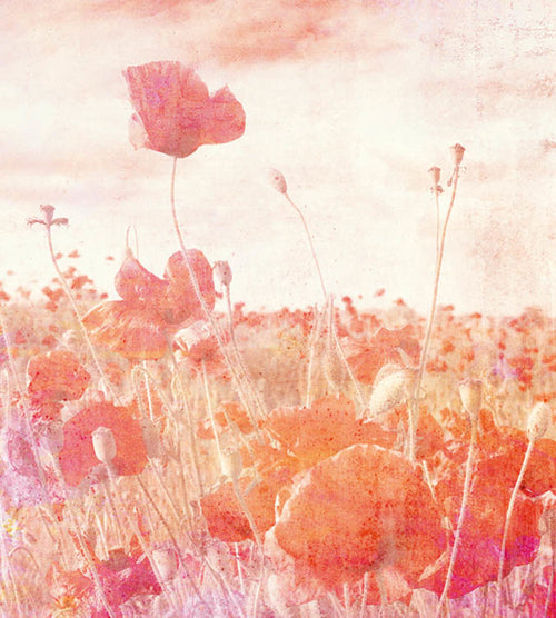 Dimex Poppies Abstract Wall Mural 225x250cm 3 Panels | Yourdecoration.co.uk