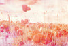 Dimex Poppies Abstract Wall Mural 375x250cm 5 Panels | Yourdecoration.co.uk