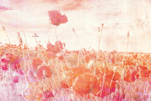 Dimex Poppies Abstract Wall Mural 375x250cm 5 Panels | Yourdecoration.co.uk