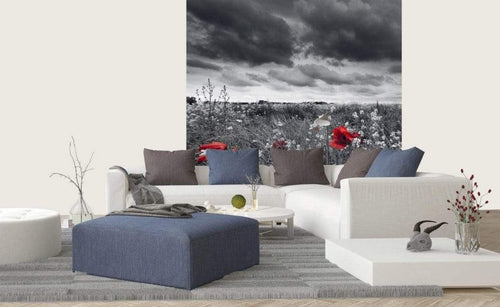 Dimex Poppies Black Wall Mural 225x250cm 3 Panels Ambiance | Yourdecoration.co.uk
