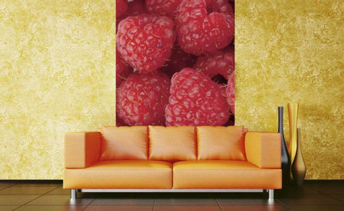 Dimex Raspberry Wall Mural 150x250cm 2 Panels Ambiance | Yourdecoration.co.uk