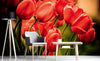 Dimex Red Tulips Wall Mural 375x250cm 5 Panels Ambiance | Yourdecoration.co.uk