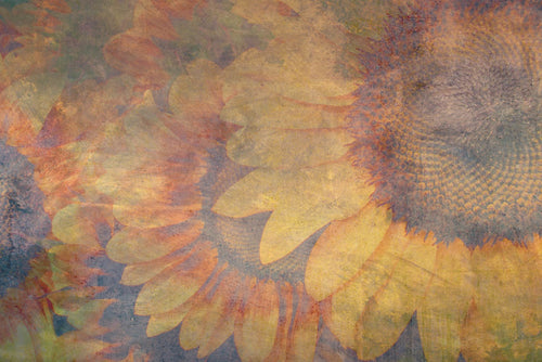 Dimex Sunflower Abstract Wall Mural 375x250cm 5 Panels | Yourdecoration.co.uk