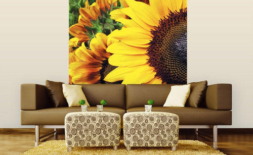 Dimex Sunflowers Wall Mural 225x250cm 3 Panels Ambiance | Yourdecoration.co.uk