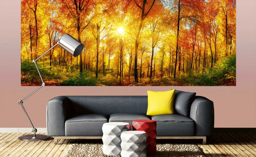 Dimex Sunny Forest Wall Mural 375x150cm 5 Panels Ambiance | Yourdecoration.co.uk