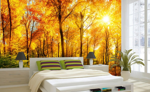 Dimex Sunny Forest Wall Mural 375x250cm 5 Panels Ambiance | Yourdecoration.co.uk