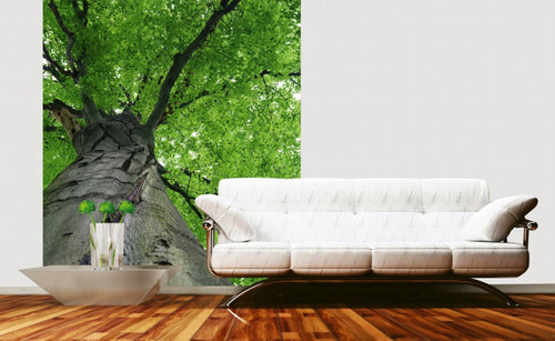 Dimex Treetop Wall Mural 225x250cm 3 Panels Ambiance | Yourdecoration.co.uk