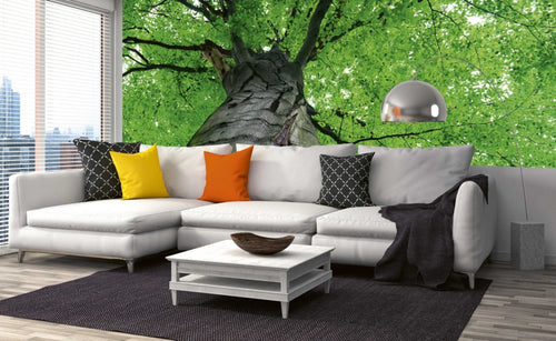 Dimex Treetop Wall Mural 375x150cm 5 Panels Ambiance | Yourdecoration.co.uk