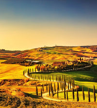 Dimex Tuscany Wall Mural 225x250cm 3 Panels | Yourdecoration.co.uk