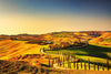 Dimex Tuscany Wall Mural 375x250cm 5 Panels | Yourdecoration.co.uk