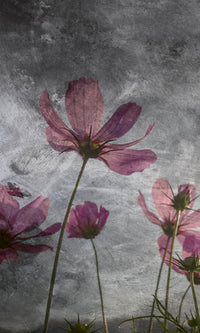 Dimex Violet Flower Abstract Wall Mural 150x250cm 2 Panels | Yourdecoration.co.uk