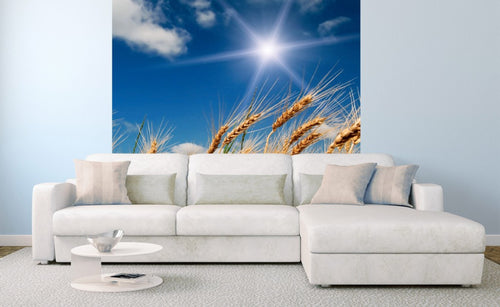 Dimex Wheat Field Wall Mural 225x250cm 3 Panels Ambiance | Yourdecoration.co.uk