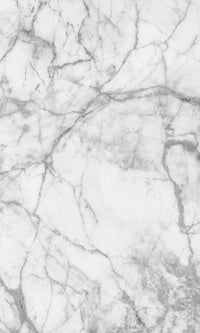 Dimex White Marble Wall Mural 150x250cm 2 Panels | Yourdecoration.co.uk