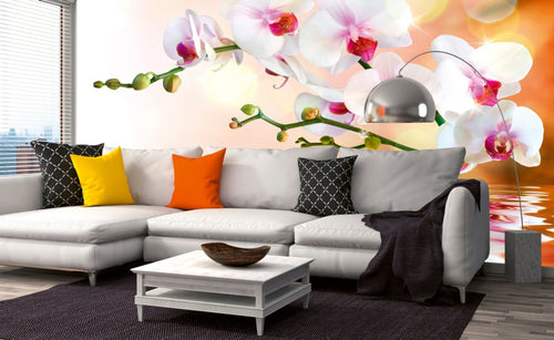 Dimex White Orchid Wall Mural 375x250cm 5 Panels Ambiance | Yourdecoration.co.uk