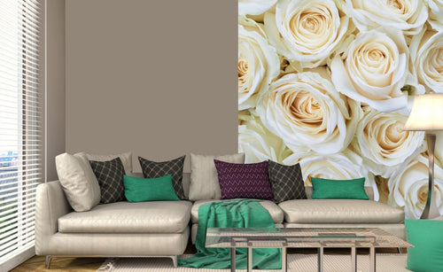 Dimex White Roses Wall Mural 225x250cm 3 Panels Ambiance | Yourdecoration.co.uk