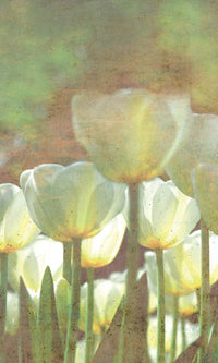 Dimex White Tulips Abstract Wall Mural 150x250cm 2 Panels | Yourdecoration.co.uk