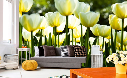 Dimex White Tulips Wall Mural 375x250cm 5 Panels Ambiance | Yourdecoration.co.uk