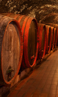 Dimex Wine Barrels Wall Mural 150x250cm 2 Panels | Yourdecoration.co.uk