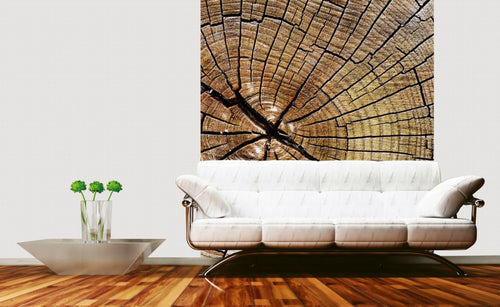 Dimex Wood Wall Mural 225x250cm 3 Panels Ambiance | Yourdecoration.co.uk