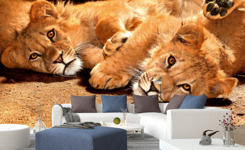 Dimex Young Lions Wall Mural 375x250cm 5 Panels Ambiance | Yourdecoration.co.uk