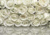 Komar A la Rose Wall Mural 368x254cm | Yourdecoration.co.uk