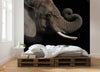 Komar Afrikaanse Olifant Non Woven Wall Mural 300X280Cm 6 Parts Ambiance | Yourdecoration.co.uk